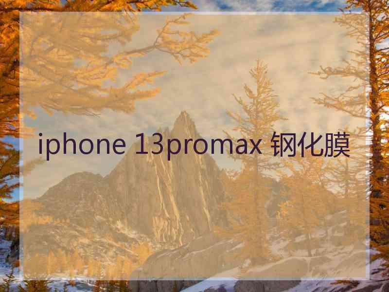 iphone 13promax 钢化膜