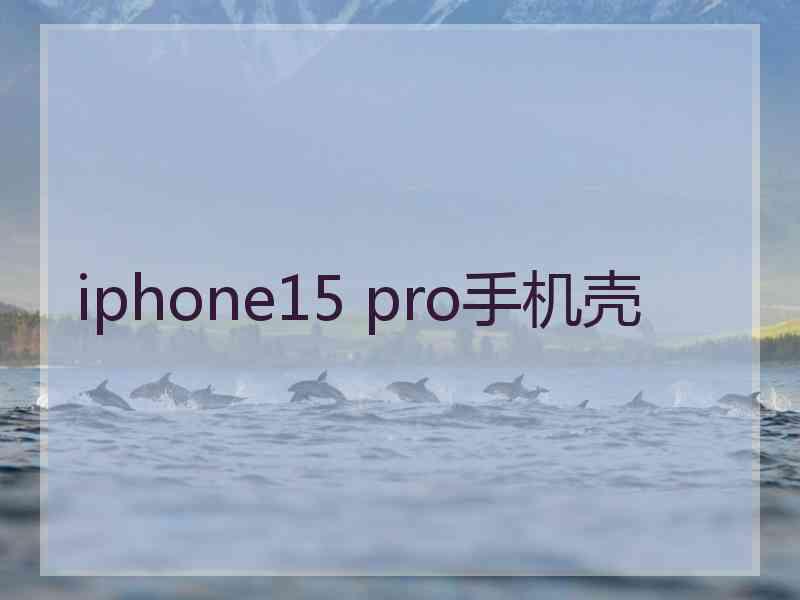 iphone15 pro手机壳