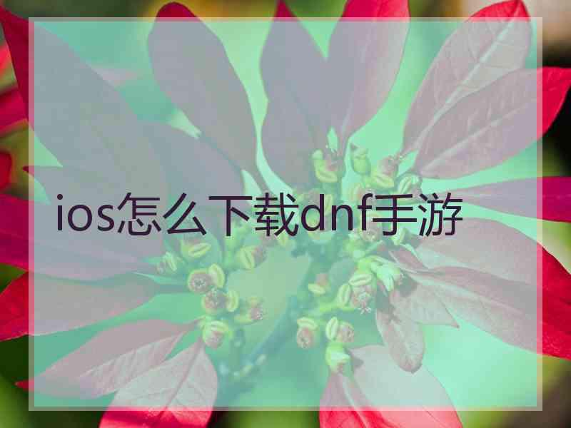 ios怎么下载dnf手游