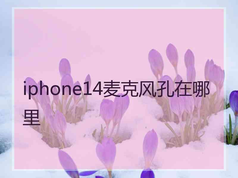 iphone14麦克风孔在哪里