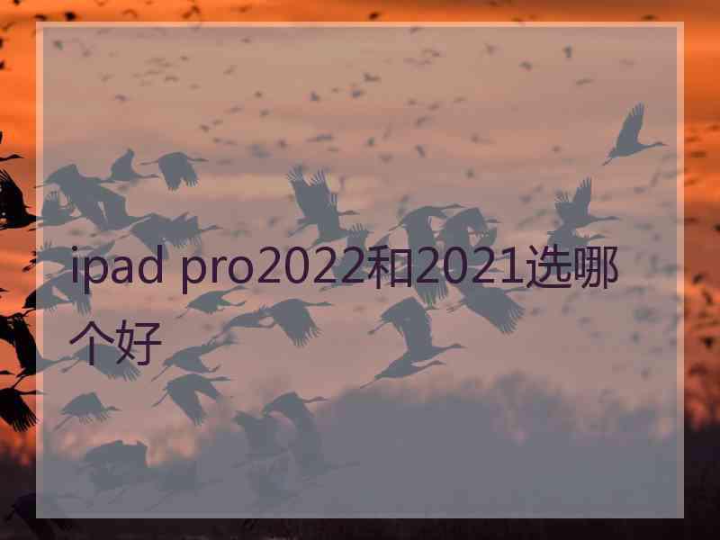 ipad pro2022和2021选哪个好