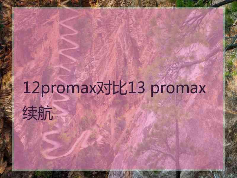 12promax对比13 promax续航