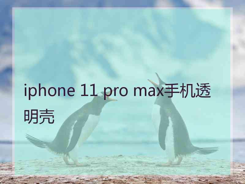 iphone 11 pro max手机透明壳