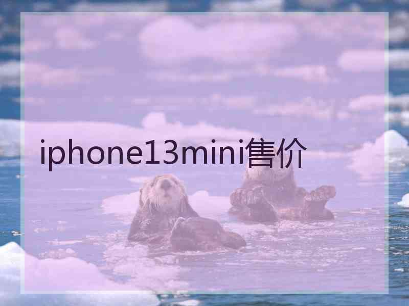 iphone13mini售价