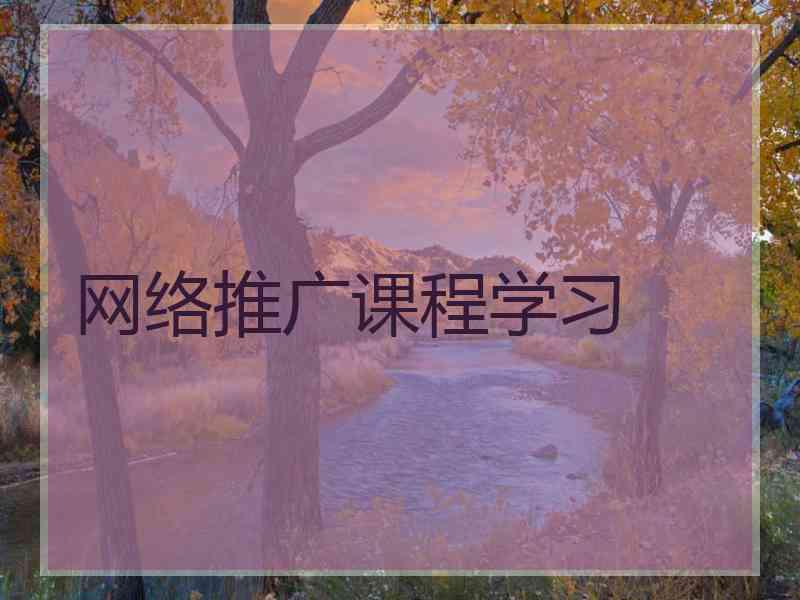 网络推广课程学习