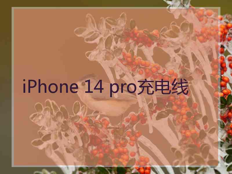 iPhone 14 pro充电线