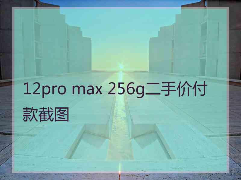 12pro max 256g二手价付款截图