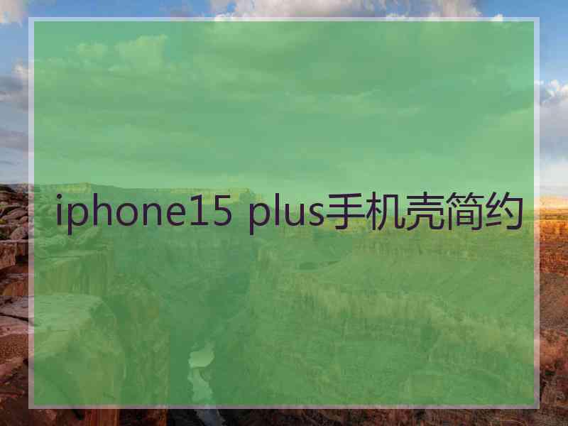 iphone15 plus手机壳简约