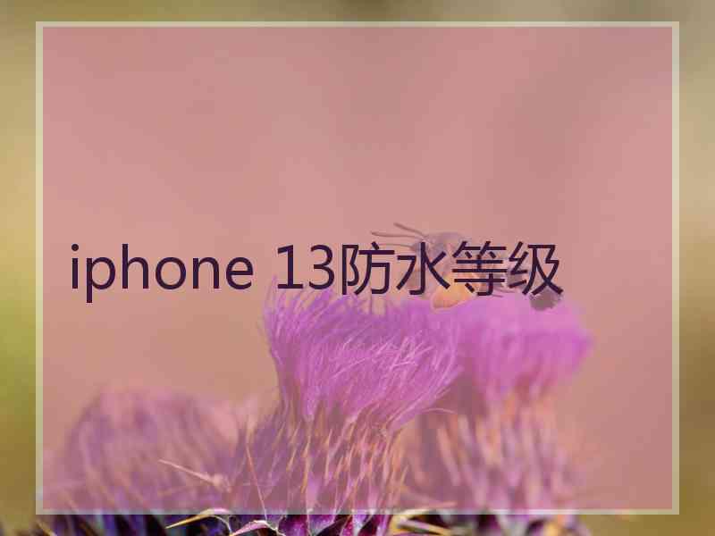 iphone 13防水等级