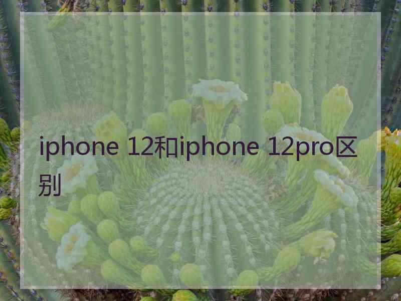 iphone 12和iphone 12pro区别