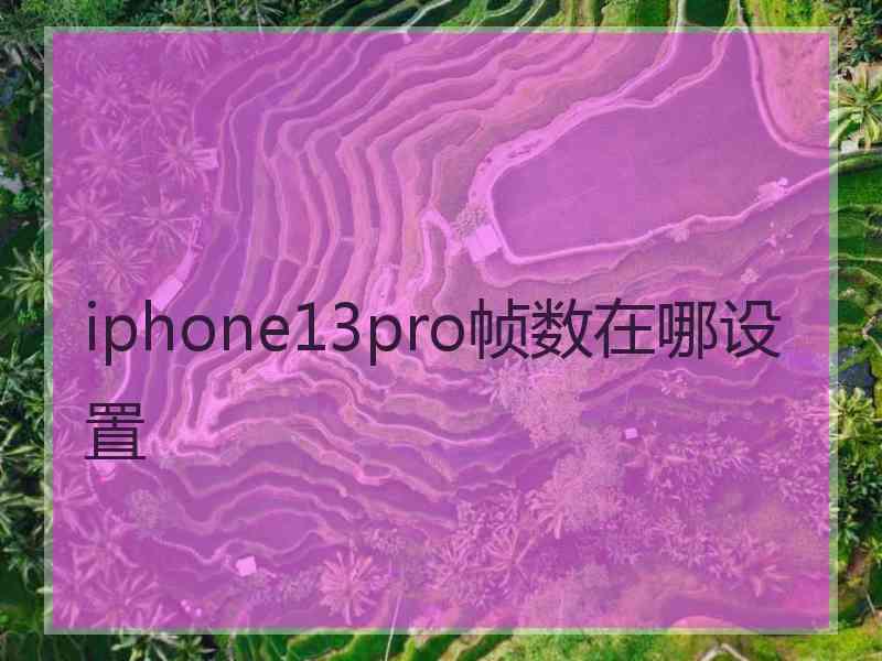 iphone13pro帧数在哪设置