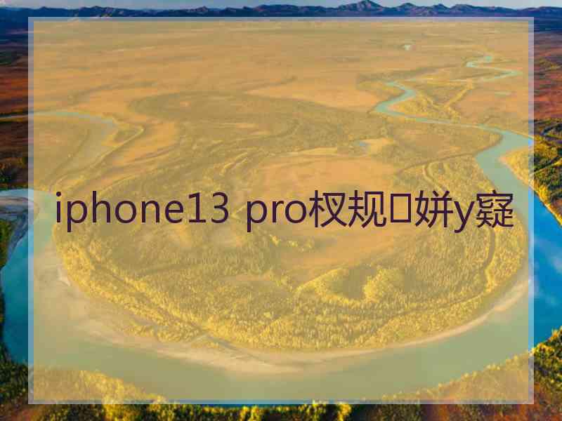 iphone13 pro杈规姘у寲