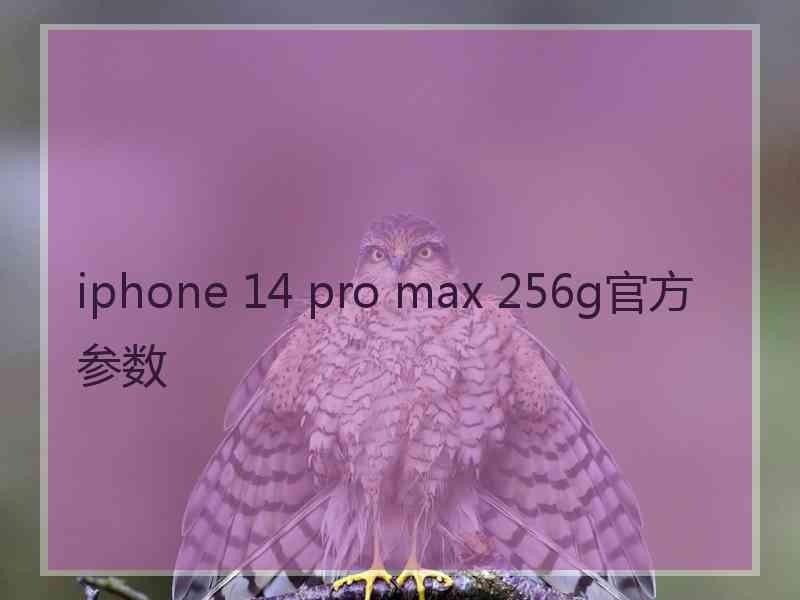 iphone 14 pro max 256g官方参数