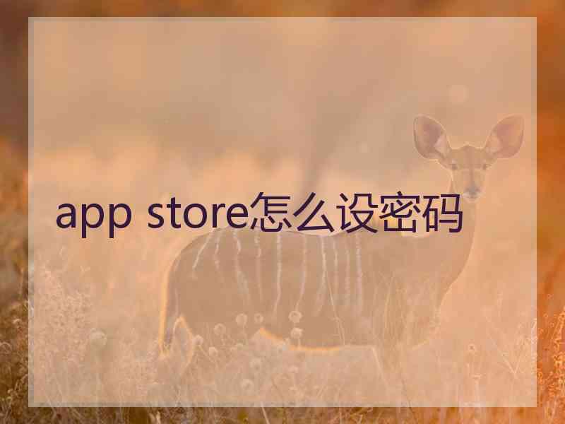 app store怎么设密码