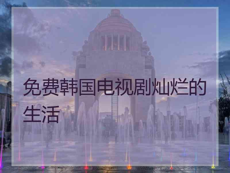 免费韩国电视剧灿烂的生活