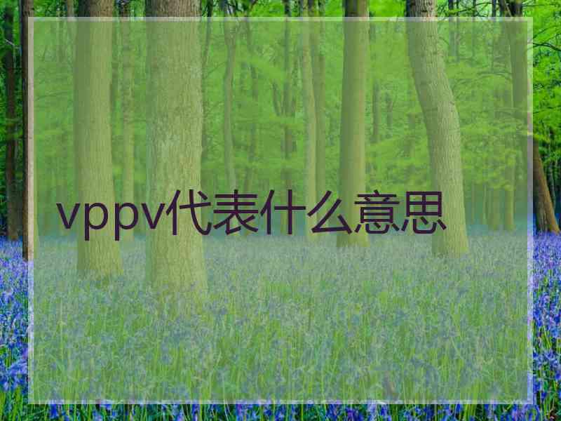 vppv代表什么意思