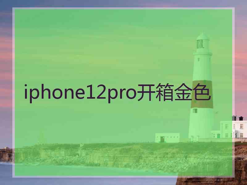 iphone12pro开箱金色