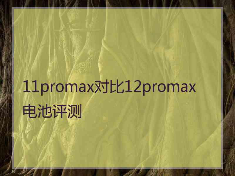 11promax对比12promax电池评测