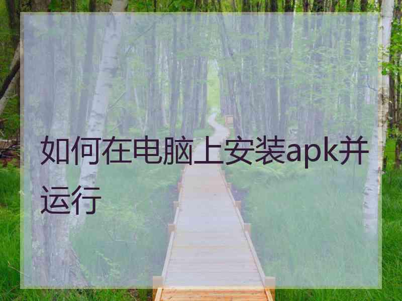 如何在电脑上安装apk并运行