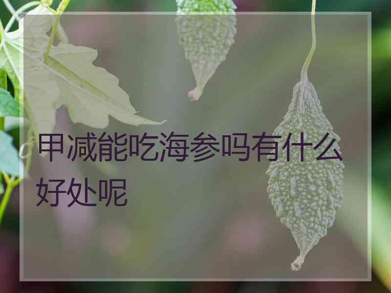 甲减能吃海参吗有什么好处呢