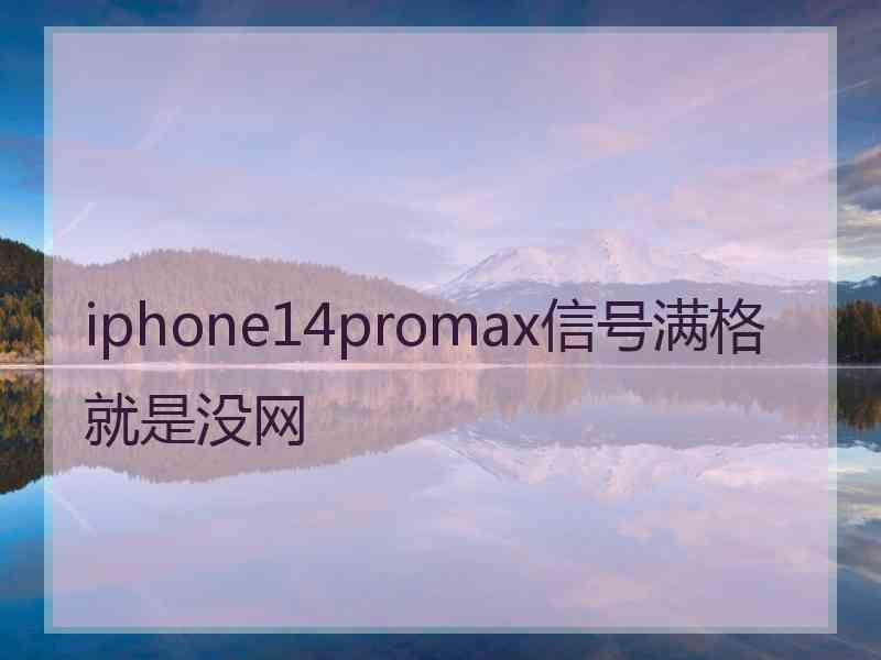 iphone14promax信号满格就是没网