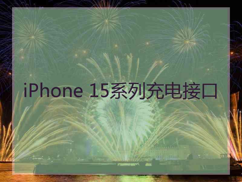 iPhone 15系列充电接口