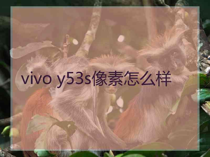 vivo y53s像素怎么样