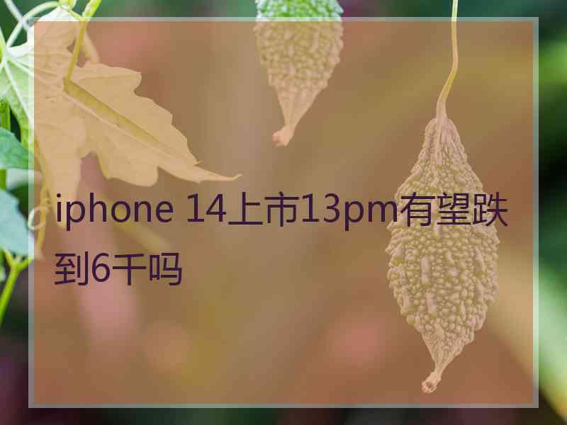 iphone 14上市13pm有望跌到6千吗