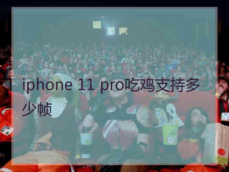 iphone 11 pro吃鸡支持多少帧