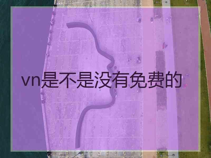 vn是不是没有免费的