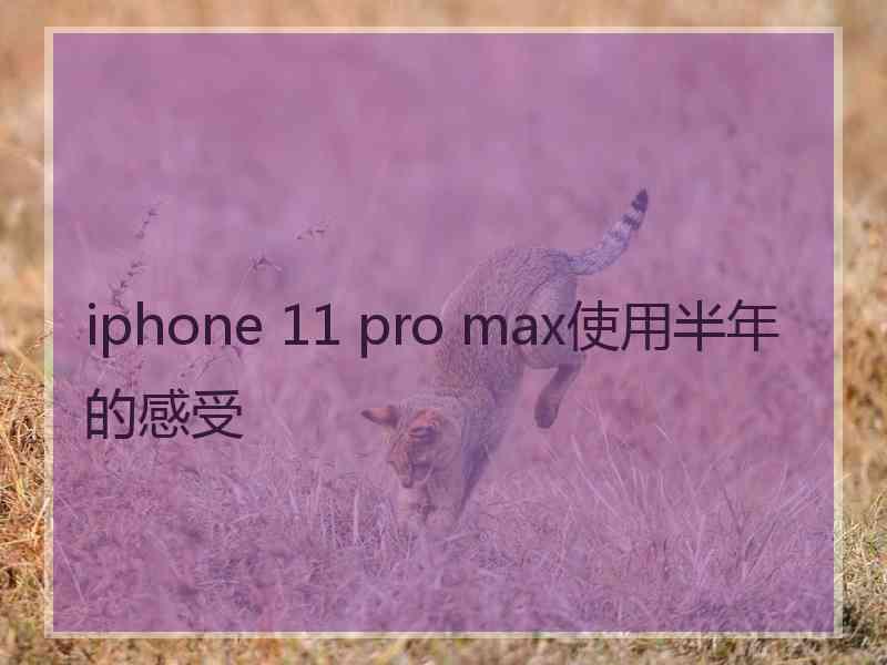 iphone 11 pro max使用半年的感受