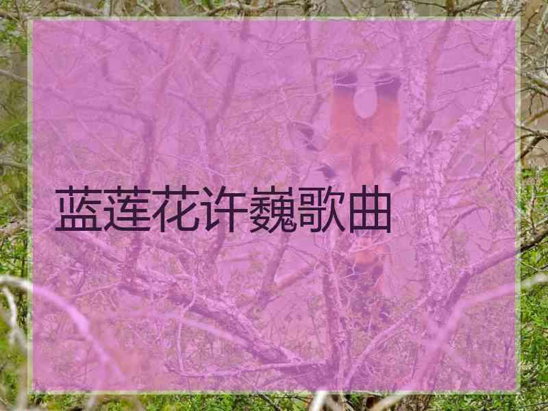 蓝莲花许巍歌曲