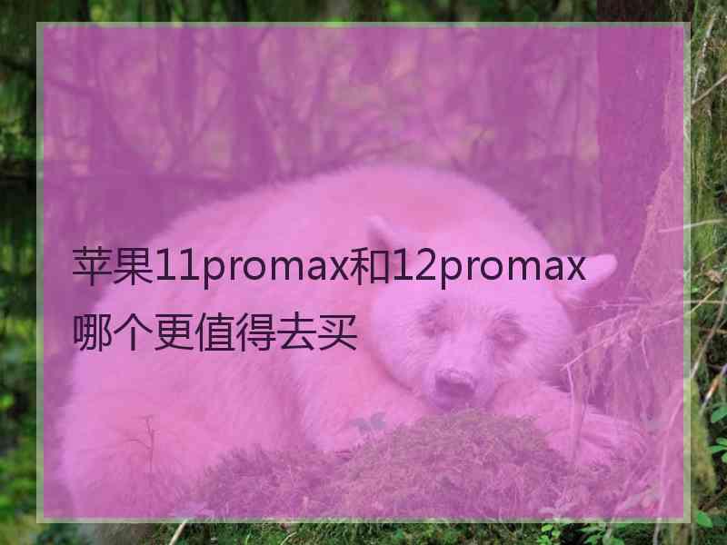 苹果11promax和12promax哪个更值得去买