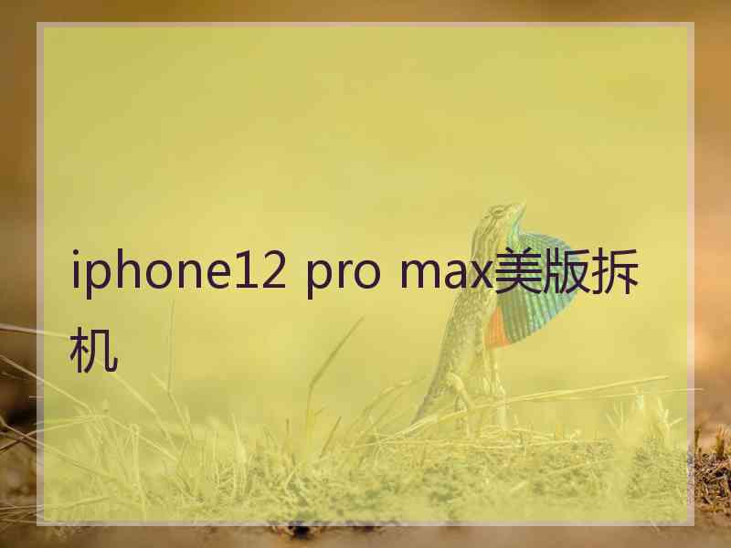 iphone12 pro max美版拆机