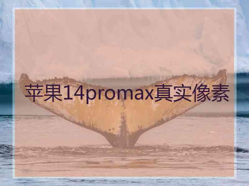 苹果14promax真实像素