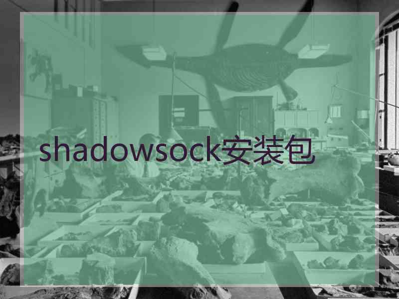 shadowsock安装包