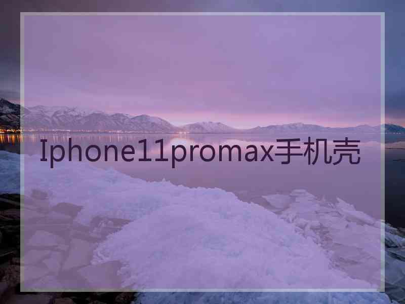 Iphone11promax手机壳