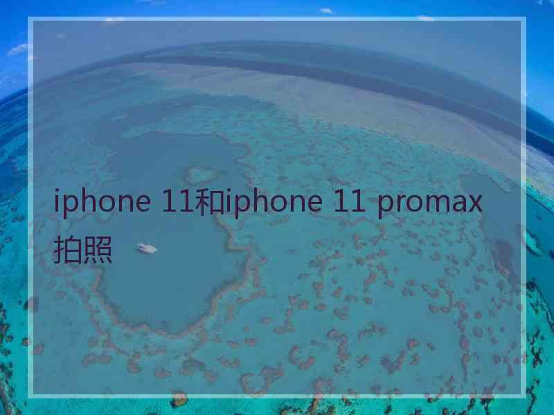 iphone 11和iphone 11 promax拍照