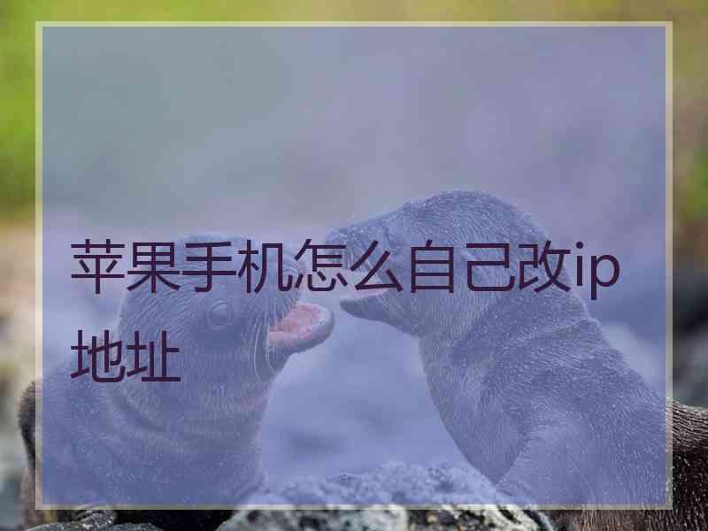 苹果手机怎么自己改ip地址