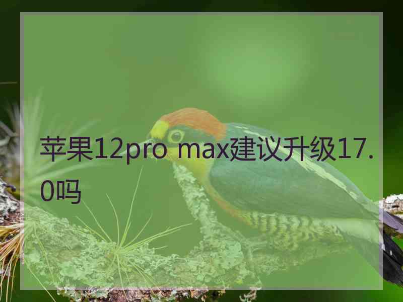 苹果12pro max建议升级17.0吗