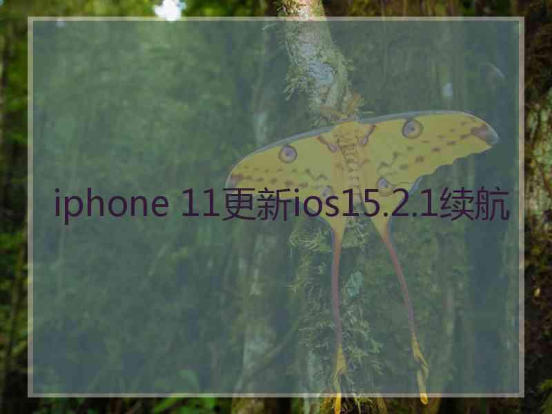 iphone 11更新ios15.2.1续航