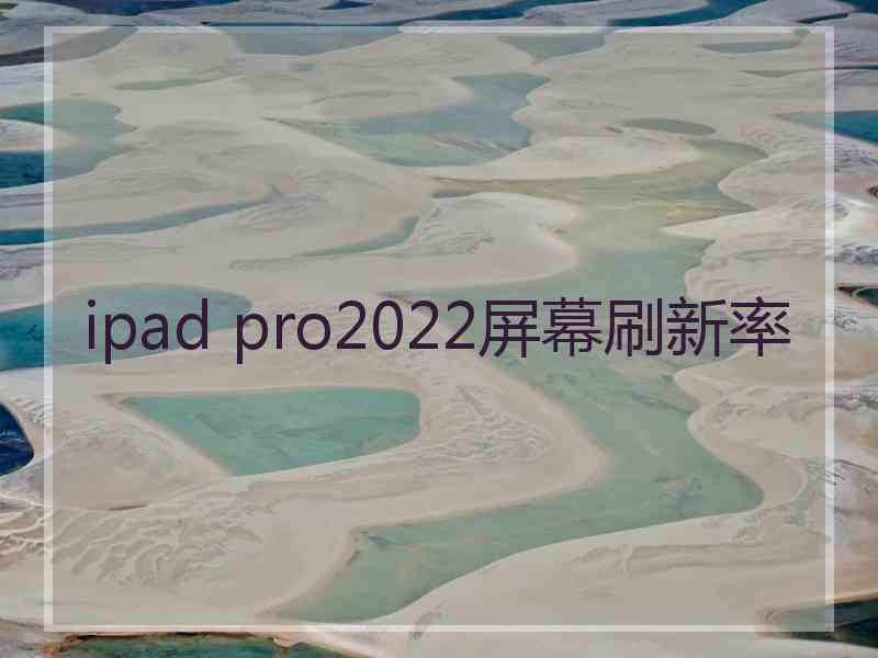 ipad pro2022屏幕刷新率