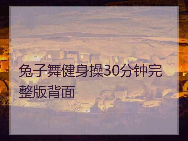 兔子舞健身操30分钟完整版背面