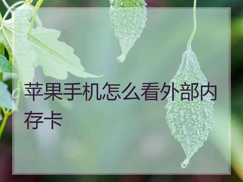 苹果手机怎么看外部内存卡