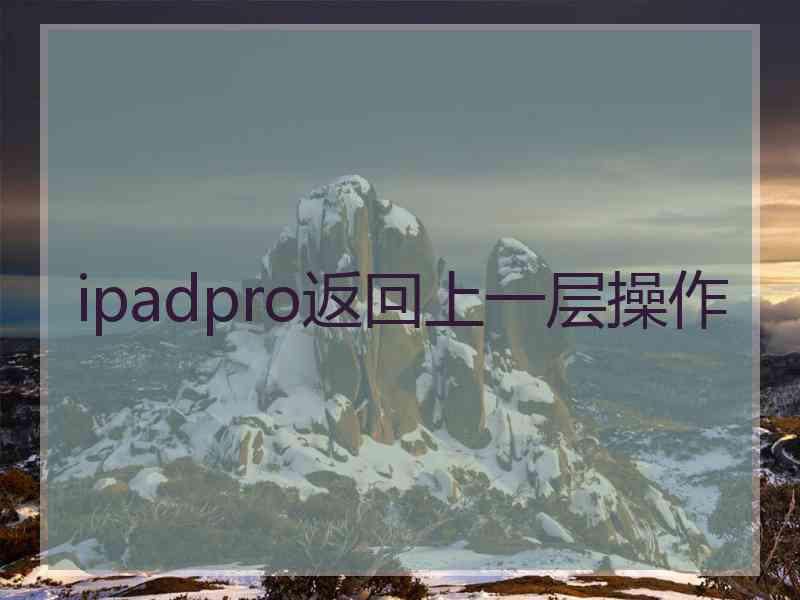 ipadpro返回上一层操作