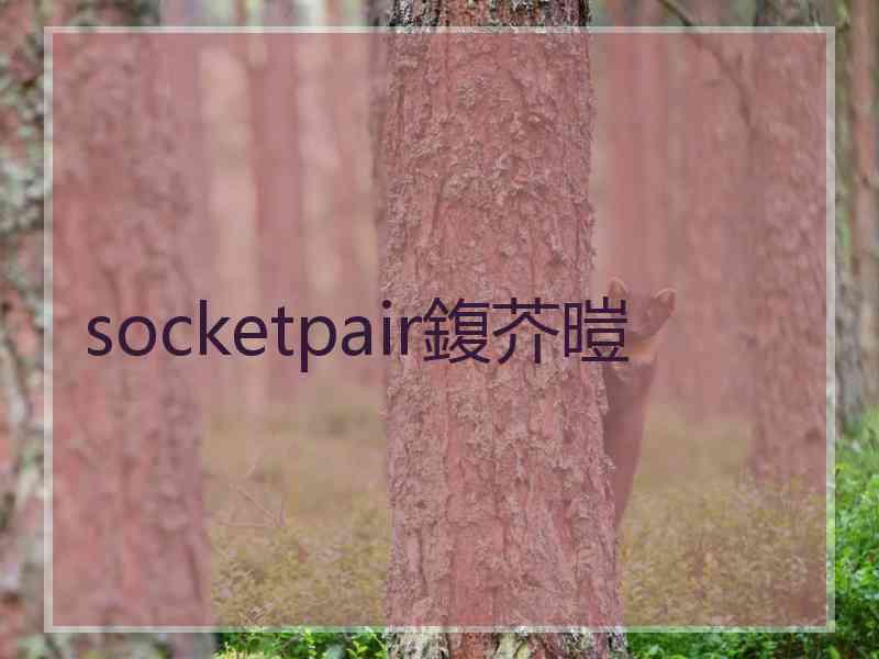 socketpair鍑芥暟