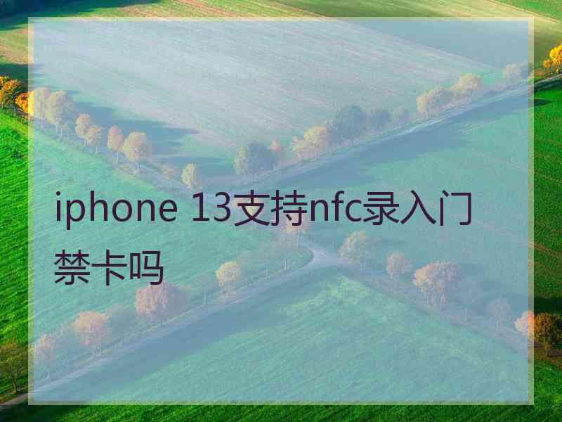 iphone 13支持nfc录入门禁卡吗