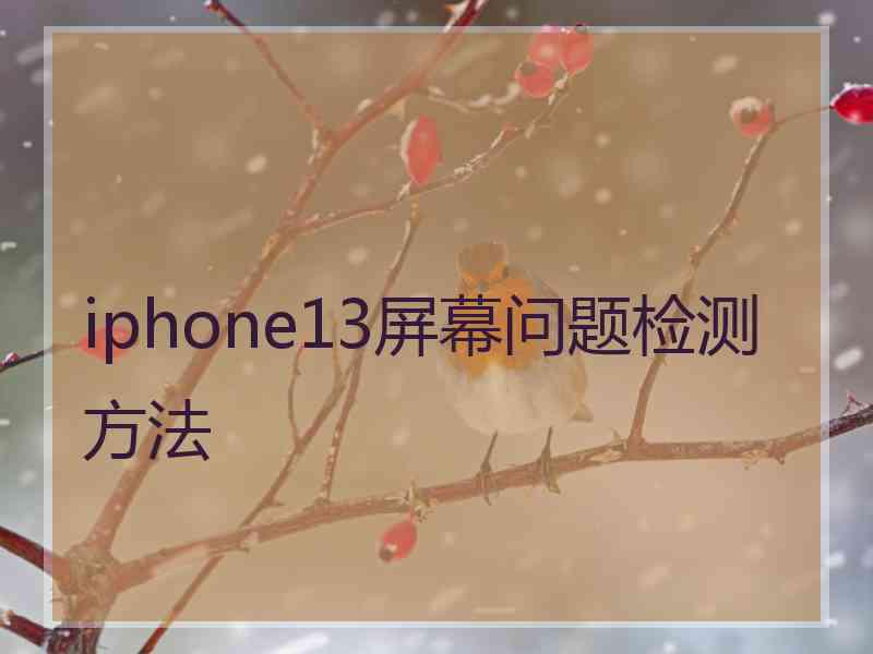 iphone13屏幕问题检测方法