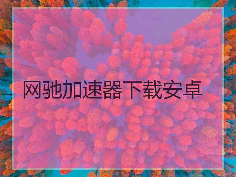 网驰加速器下载安卓