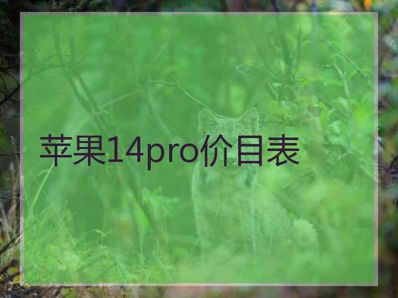 苹果14pro价目表